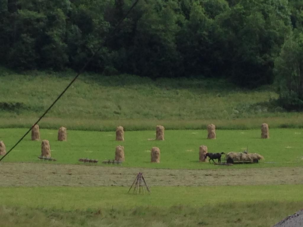 Pokoje Goscinne Madzia Poronin Bagian luar foto
