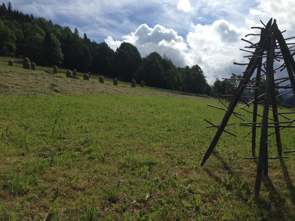 Pokoje Goscinne Madzia Poronin Bagian luar foto